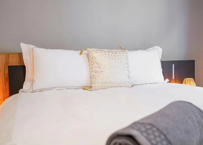 Le Roi Lion Centre Parking Gratuit Apartment *