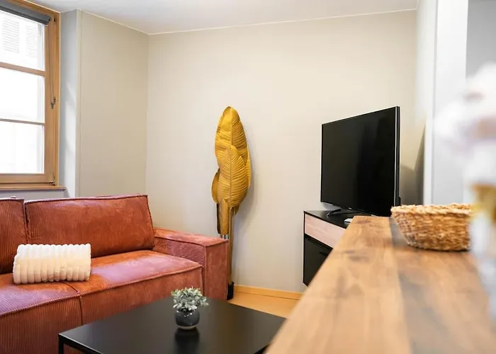 Le Roi Lion Centre Parking Gratuit