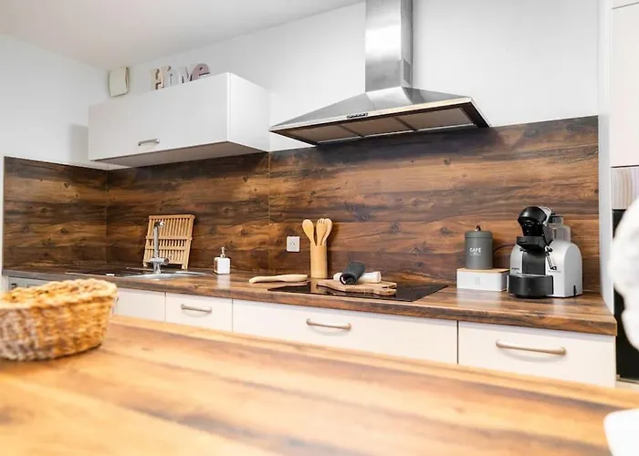 Apartment Le Roi Lion Centre Parking Gratuit *