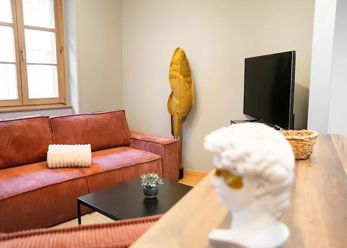 Apartment Le Roi Lion Centre Parking Gratuit