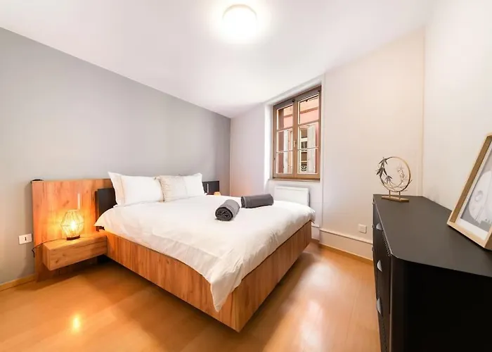 Le Roi Lion Centre Parking Gratuit Apartment *