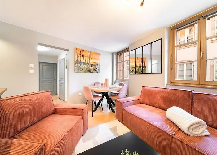 Apartment Le Roi Lion Centre Parking Gratuit